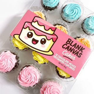 FROZEN CHOCOLATE MIXED DECORATED CUPCAKES | TRAY 12 | BLANK CANVAS CAKES