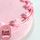 FROZEN PINK DECORATED CAKE | WHITE MUD | 8" ROUND | BLANK CANVAS CAKES