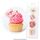 CAKE CRAFT | ASSORTED FLOWERS | WAFER TOPPERS | PACKET OF 16