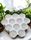 CUPCAKE BOUQUET DISPLAY HOLDER | 12 HOLE