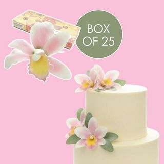 CATTLEYA ORCHID PINK SMALL | SUGAR FLOWERS | BOX OF 25