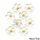 LARGE 5 PETAL SUGAR FLOWERS WHITE | BOX OF 96