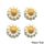 DAISY SWIRL SUGAR FLOWERS WHITE | BOX OF 150
