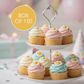 DAISY SWIRL SUGAR FLOWERS WHITE | BOX OF 150