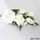 ROSE SPRAY WHITE | SUGAR FLOWERS | BOX OF 4