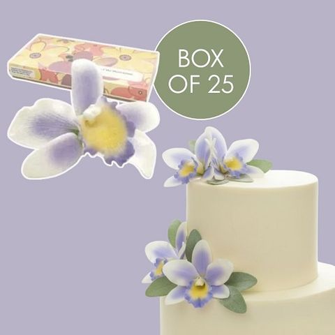 CATTLEYA ORCHID PURPLE SMALL | SUGAR FLOWERS | BOX OF 25