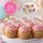 HAPPY BIRTHDAY PLACARDS PINK | SUGAR DECORATIONS | BOX OF 72