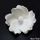LARGE WHITE MAGNOLIA | SUGAR FLOWERS | BOX OF 9