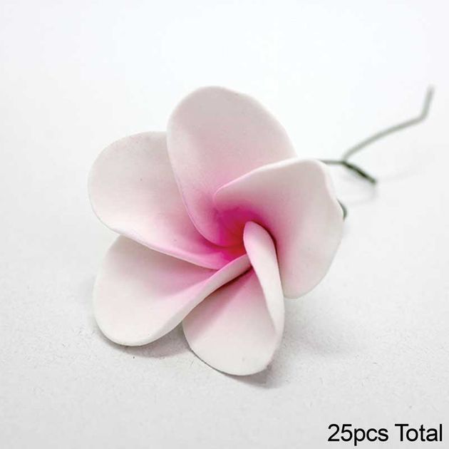 FRANGIPANI LARGE PINK SUGAR FLOWERS BOX OF 25