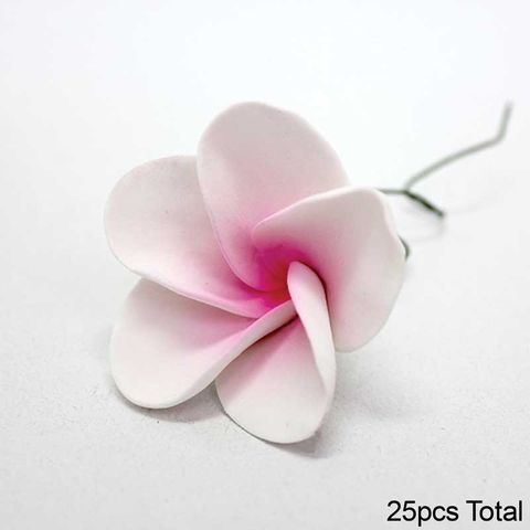 FRANGIPANI LARGE PINK | SUGAR FLOWERS | BOX OF 25