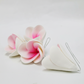 FRANGIPANI LARGE PINK | SUGAR FLOWERS | BOX OF 25