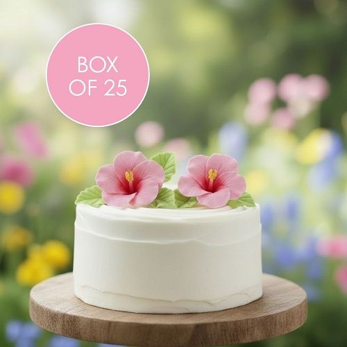 HIBISCUS PINK SMALL SUGAR FLOWERS BOX OF 25