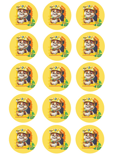 DONUT KING ONLY - PAW PATROL - RUBBLE (YELLOW) EDIBLE CUPCAKE IMAGE