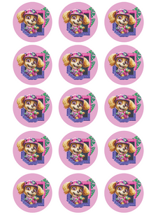 DONUT KING ONLY - PAW PATROL - SKYE (PINK) EDIBLE CUPCAKE IMAGE