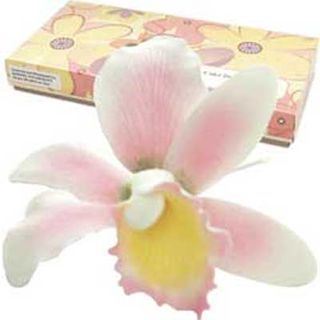 CATLEYA ORCHID PINK SMALL (25) - SUGAR FLOWERS