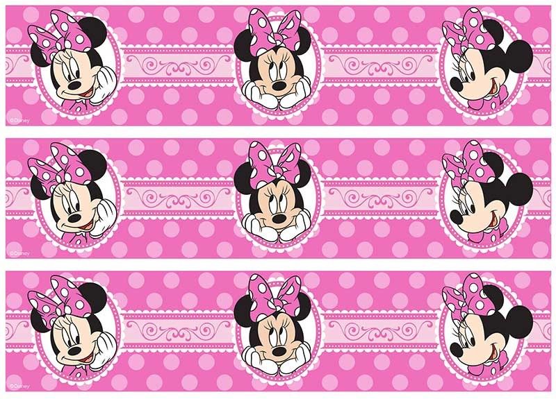 Louis Vuitton Minnie Mouse Edible Image Frosting Sheet #183 (70+
