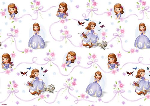 DISNEY SOFIA THE FIRST - PRINCESS SOFIA PATTERN SHEET A4 EDIBLE IMAGE