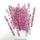 CLEAR COLOUR GLITTER | POPSICLE STICKS | 24 PACK