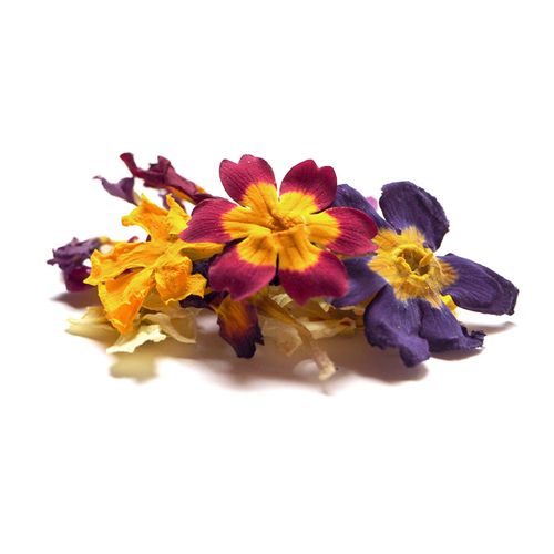 PETITE | DRIED EDIBLE PRIMROSE