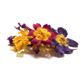 PETITE | DRIED EDIBLE PRIMROSE