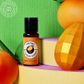 VIVID | MANGO | FLAVOUR FUSION | 21ML