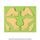 ASSORTED WING SILICONE MOULD