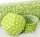 700 BAKING CUPS - LIME GREEN POLKA DOTS - 500 PIECE PACK
