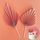 BABY PINK | DECO FAN TOPPER | 2 PC SET