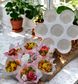 CUPCAKE BOUQUET DISPLAY HOLDER | 7 HOLE