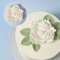 LARGE WHITE PEONY | SUGAR FLOWER | 1 PIECE