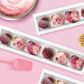 BULK | 50PK | WINDOW CUPCAKE BOX | 6 HOLES (1X6) | 3 INCH HIGH