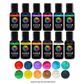 VIVID | 12 PACK | GEL COLOURS | 12 X 21G - BB 19/09/26