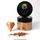 VIVID | ANTIQUE GOLD | EDIBLE METALLIC DUST | 50G - BB 19/04/26