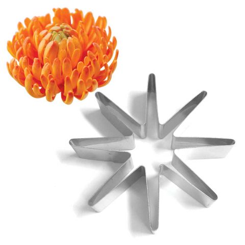 CHRYSANTHEMUM CUTTER