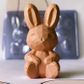 BWB | SITTING GEODE BUNNY RABBIT MOULD | 3 PIECE