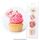 CAKE CRAFT | ASSORTED FLOWERS | WAFER TOPPERS | PACKET OF 16 - BB 08/25