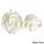 MEDIUM ROSE WHITE  SUGAR FLOWERS | BOX OF 36