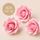 SINGLE ROSE MEDIUM PINK | SUGAR FLOWERS | BOX OF 16