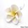 FRANGIPANI LARGE YELLOW | SUGAR FLOWERS | BOX OF 25