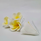 FRANGIPANI LARGE YELLOW | SUGAR FLOWERS | BOX OF 25