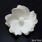 LARGE WHITE MAGNOLIA | SUGAR FLOWERS | BOX OF 9 - BB 31/12/26