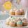 DAISY SWIRL SUGAR FLOWERS WHITE | BOX OF 150 - BB 31/12/26