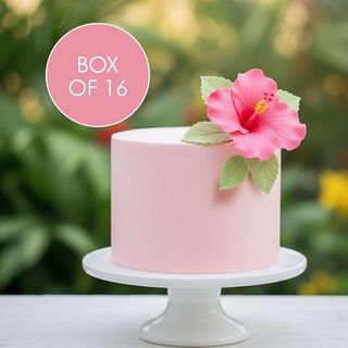 HIBISCUS PINK MEDIUM | BOX OF 16 - BB 30/03/26