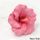 HIBISCUS PINK MEDIUM | BOX OF 16 - BB 30/03/26