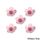 BLOSSOMS PINK SMALL | SUGAR FLOWERS | BOX OF 1000 - BB 30/12/25