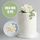 GARDENIA WHITE | SUGAR FLOWERS | BOX OF 9