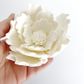 LARGE WHITE PEONY | SUGAR FLOWERS | BOX OF 9 - BB 12/25