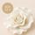 SINGLE ROSE LARGE WHITE | SUGAR FLOWERS | BOX OF 9