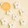 LARGE 5 PETAL SUGAR FLOWERS WHITE | BOX OF 96