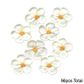 LARGE 5 PETAL SUGAR FLOWERS WHITE | BOX OF 96